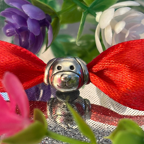 Pandora charm cane - cane, devoto