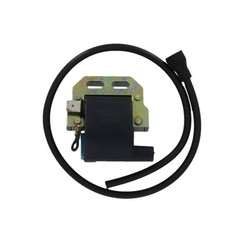 CENTRALINA per Ducati 125