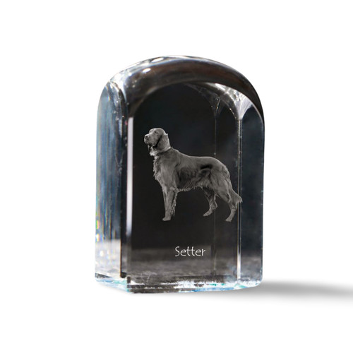Setter inglese cristallo - inglese,