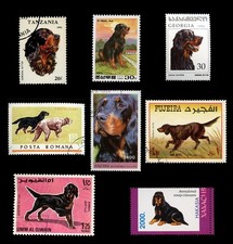 GORDON SETTER GUN DOG POSTAGE
