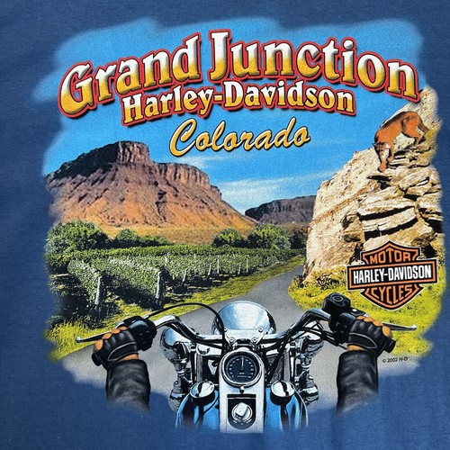 Camicia vintage harley - camicia,