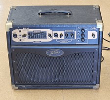 Peavey Ecoustic E110