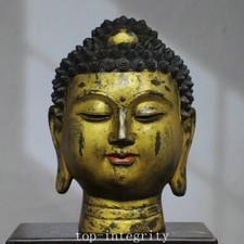Statua testa di Buddha 14" Tibet buddismo bronzo dorato Shakyamuni Sakyamuni Amitabha