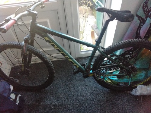 Mountain bike uomo carrera - mountain,
