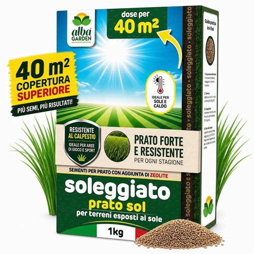 Semi prato soleggiato - semi,
