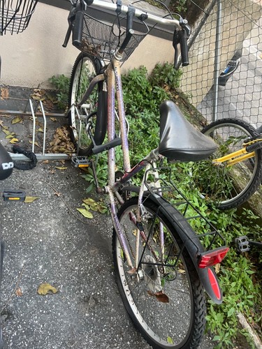 bicicletta