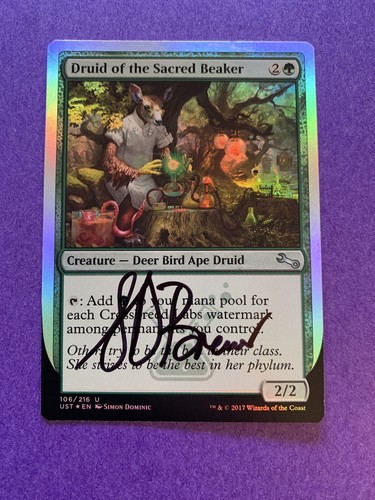 Mtg magic druid the - magic, o