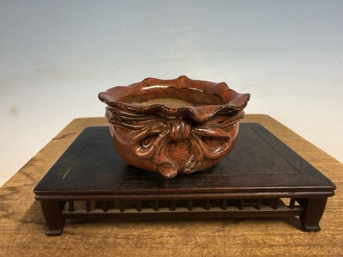 Vaso per bonsai shohin - vaso,