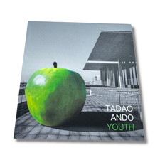 Tadao Ando Youth Art Book