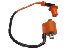 Ignition Coil Polaris