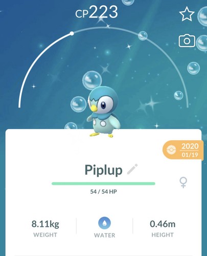 Shiny piplup 2019 2020 pokemon - shiny,