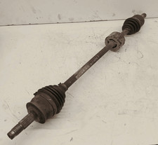 46308259 Semialbero ant