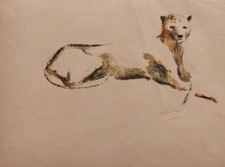 Alberto Ziveri, Leopardo