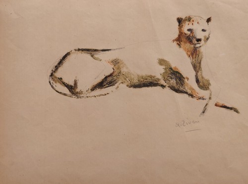 Alberto ziveri leopardo - alberto,