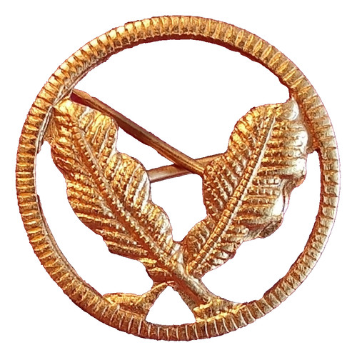Aeronautica militare spilla - aeronautica,