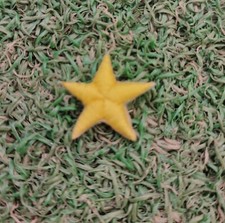 Patch stella termoadesiva - patch,
