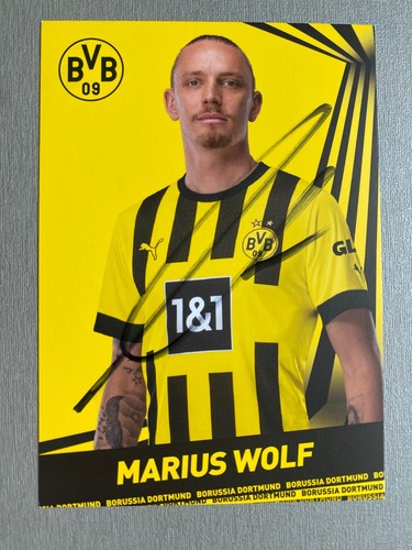 Markus wolf borussia dortmund - wolf,