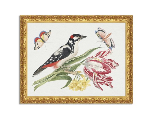 Quadro stampa tela effetto - quadro,