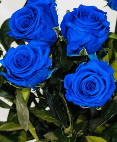150 pezzi semi rari - blu, rosa