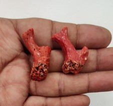 Pietra preziosa corallo vintage 100% naturale ramo di corallo rosso corallo...