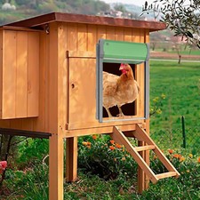 Porta pollaio automatica - porta, porte