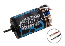 Team Associated 27462 Reedy