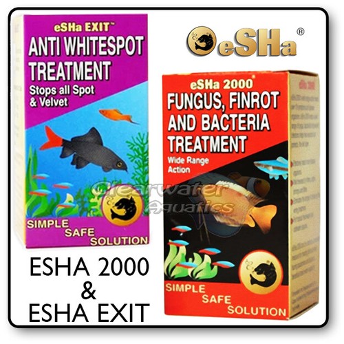 Esha 2000 exit funghi finrot - 2000+exit,