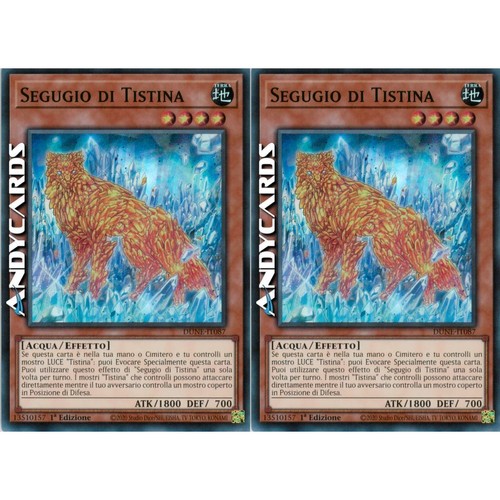 Segugio tistina hound - 2x,