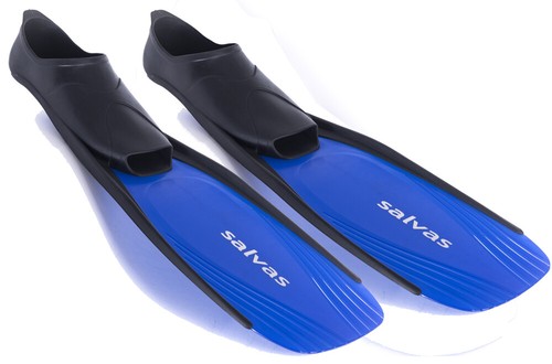 Pinne sub murena - murena, piscina