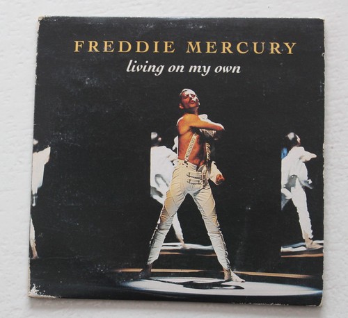 Freddie mercury queen - mercury,