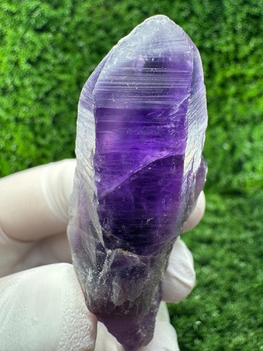 Wow ametista viola - wow!,
