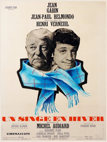Film singe hiver - singe,