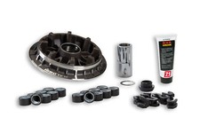 MALOSSI 5118054 VARIATORE