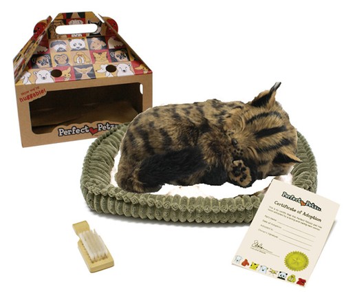 Perfect petzzz maine coon - petzzz,