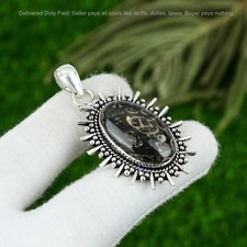 Halloween Deal Turritella