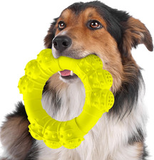Anello da Masticare per Cani