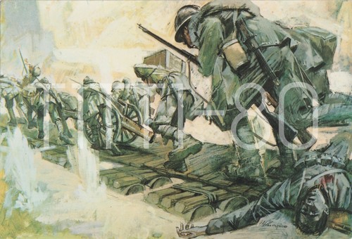 Adunata nazionale alpini - nazionale,