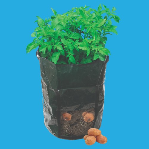 Sacchetto per piantare - , patate
