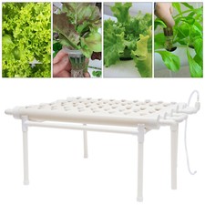 Pianta vegetale Hydroponic