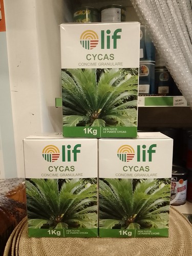 Concime granulare cycas - lif, 1