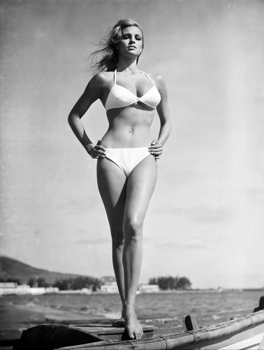 Raquel welch sexy busty - raquel,