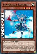 STAYSAILOR ROMARIN •