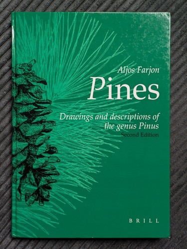 Pines aljos farjon 2nd - pines,