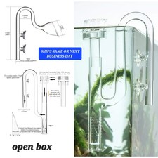 Pianta Acquario Vetro Giglio