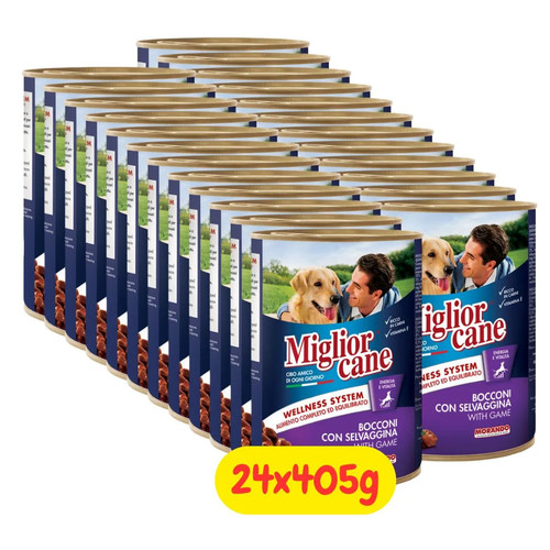 Miglior cane umido - miglior,