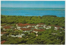 ROSOLINA MARE - ROSA PINETA -