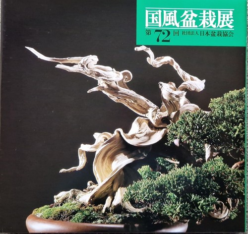 Bonsai kokufu ten 72 - bonsai, n.72