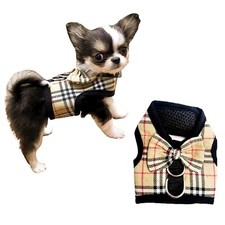 Xxxxs xxxs xxs designer - xxxxs,