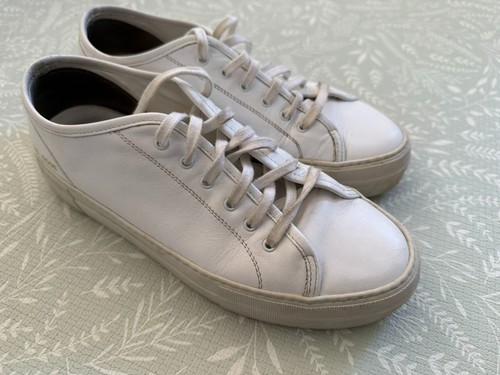 Common projects sneaker - projects, da