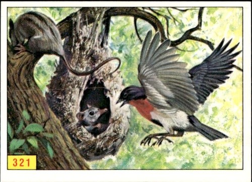 Figurina uccelli panini - uccelli, ed.panini